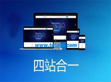 上海網(wǎng)站建設(shè)前期規(guī)劃的介紹