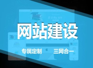 營銷網(wǎng)站建設(shè)成功的要點